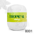 Cir_Tropical_8001