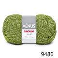 Cir_venus_9486