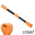 Cis_Anchor_moline_8m_01047
