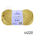 Cis_lumi_00220