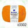 Cis_NatAlgo6_03302