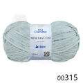 Cis_newFastFini_00315