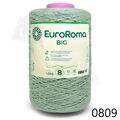ER_BarBig8_0809