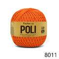 Fis_Poli_8011
