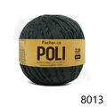 Fis_Poli_8013