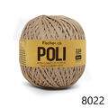 Fis_Poli_8022