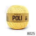 Fis_Poli_8025