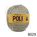 Fis_Poli_8029