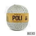 Fis_Poli_8030