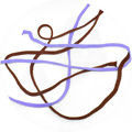 FS_Nau_Policromia_es2