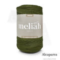 Mel_Nautico_UC_Alcaparra