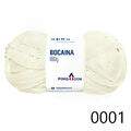 Pin_Bocaina_0001