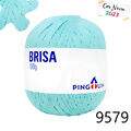 Pin_Brisa_100-23_9579