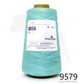 pin_brisac_9579