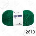 Pin_Sedificada21_2610