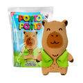 SF_PaP_Pets_Pacoca